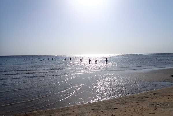 Shoni Bay (снорклинг и другая инфа) Shoni Bay (снорклинг и другая инфа)