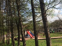 Foresta Festival Park Foresta Festival Park