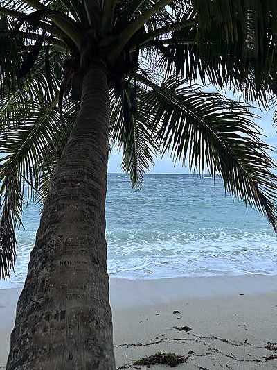 Сейшелы. Под пальмы, за мечтой! Сейшелы. Под пальмы, за мечтой!