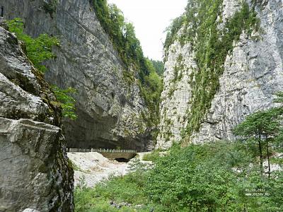 Абхазия: Гагры, Новоафонская пещера, Рица, Пицунда (самостоятельно)