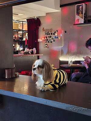 Пожужжать в ноябре по-китайски Пожужжать в ноябре по-китайски