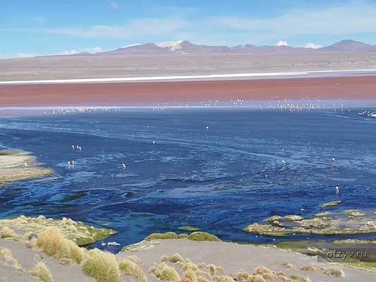 Привет от антиподов, или Чили, Боливия и остров Пасхи (окончание) Привет от антиподов, или Чили, Боливия и остров Пасхи (окончание)