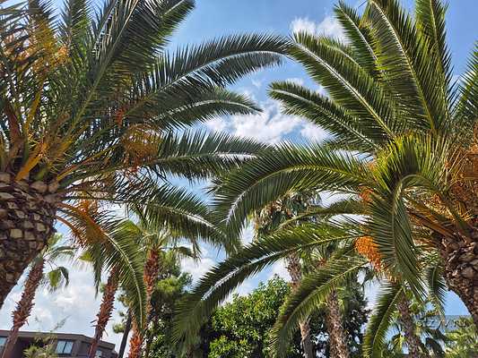 Кемер Кириш ОтельSailors Beach Club 5* Кемер Кириш ОтельSailors Beach Club 5*