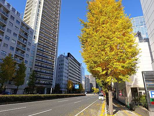 Япония в другом формате. Часть 4. Один день в Токио Япония в другом формате. Часть 4. Один день в Токио