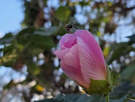 Предрождественская Валенсия и немного Соройи Предрождественская Валенсия и немного Соройи