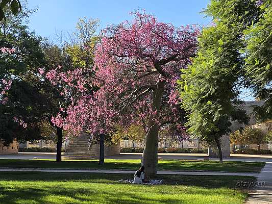 Валенсия - лето продолжается. Сентябрь - Ноябрь 2025 Валенсия - лето продолжается. Сентябрь - Ноябрь 2025