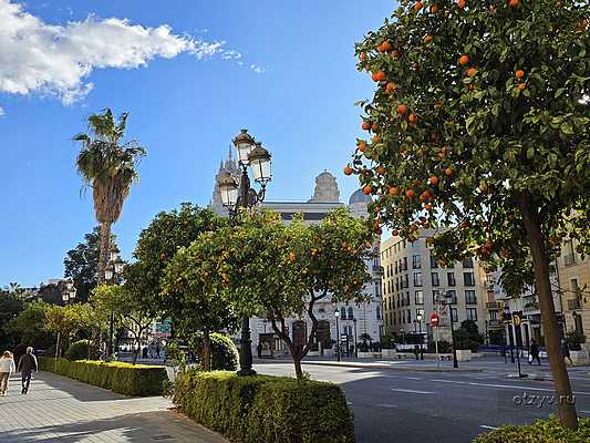 Валенсия перед Fallas Валенсия перед Fallas