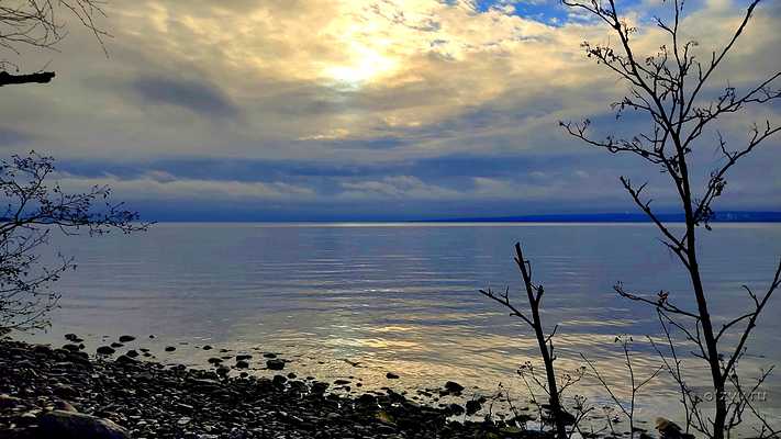 Петрозаводск - одинокий баран на берегу озера Петрозаводск - одинокий баран на берегу озера
