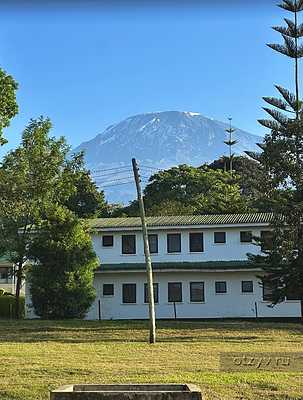 Танзания в лицах 2.0: теперь и с мордами Танзания в лицах 2.0: теперь и с мордами