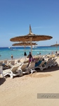 Reef Oasis Beach Resort Reef Oasis Beach Resort