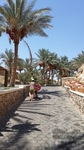 Reef Oasis Beach Resort Reef Oasis Beach Resort