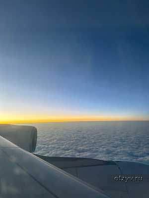 Под крылом Ангела! Две стороны медали Под крылом Ангела! Две стороны медали