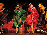 Occidental Grand Flamenco Punta Cana 