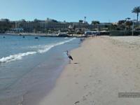 Novotel Sharm El Sheikh Beach Novotel Sharm El Sheikh Beach