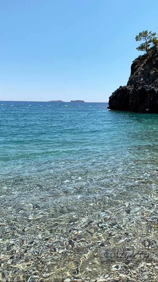 Nirvana Dolce Vita Nirvana Dolce Vita