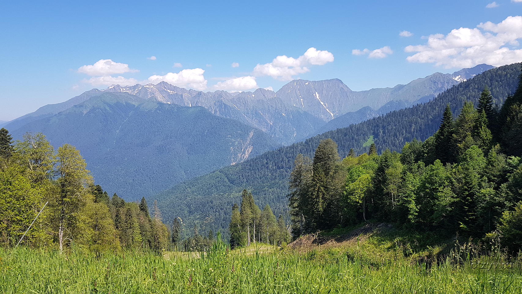 медведь на бзерпинском карнизе