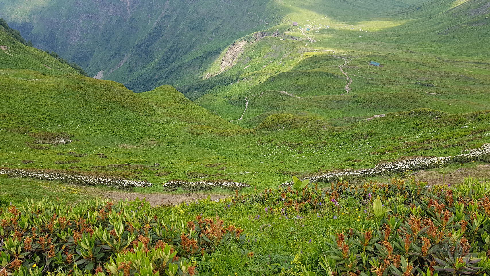 Бзерпинский карниз красная Поляна