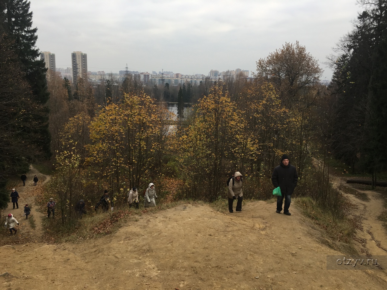 Санкт-Петербург. Шуваловский парк. Собачьи прогулки. — рассказ от 20.12.16