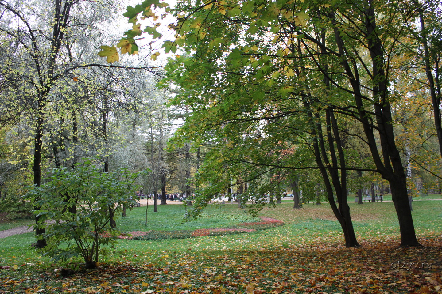 Удельный парк санкт петербург фото