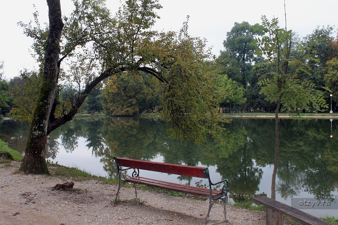 Bukki Park Vengriya Eger Vengriya Fotoalbom Toyta