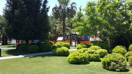 Blue Waters Club & Resort ����