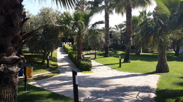 Blue Waters Club & Resort ����