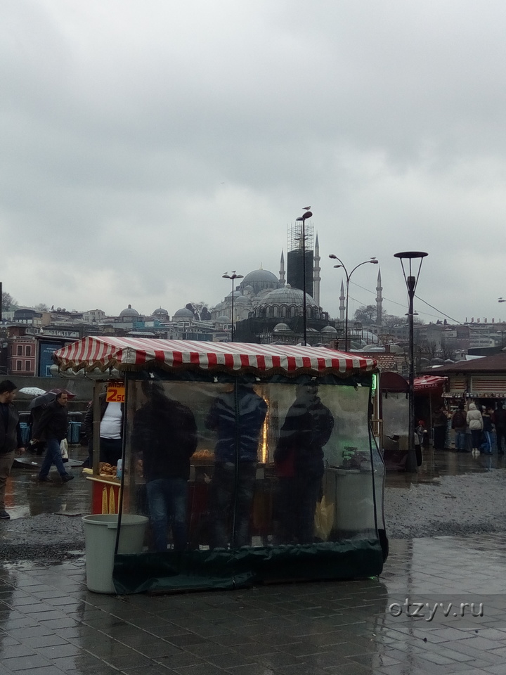 Стамбул 2017. Дождливый Стамбул. Дождливый Стамбул фото. Пасмурный день в Стамбуле. Стамбул в марте.