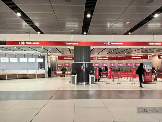 .   .      Pegasus    Turkish Airlines