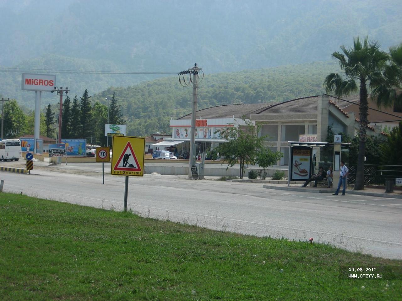 Змеи в Турции Гейнюк