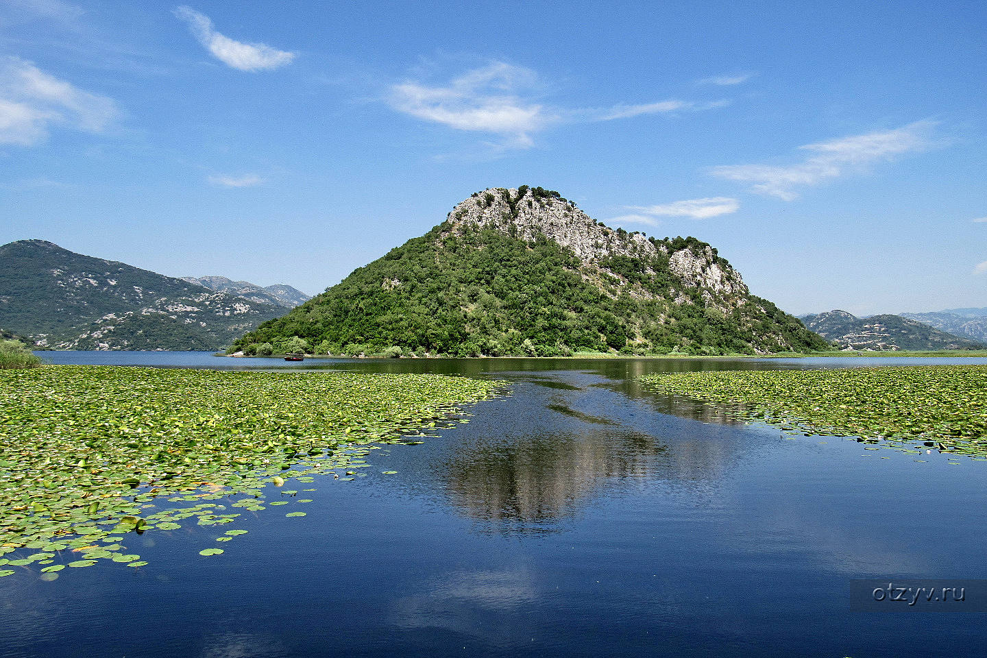 Скадарское озеро берег Черногории