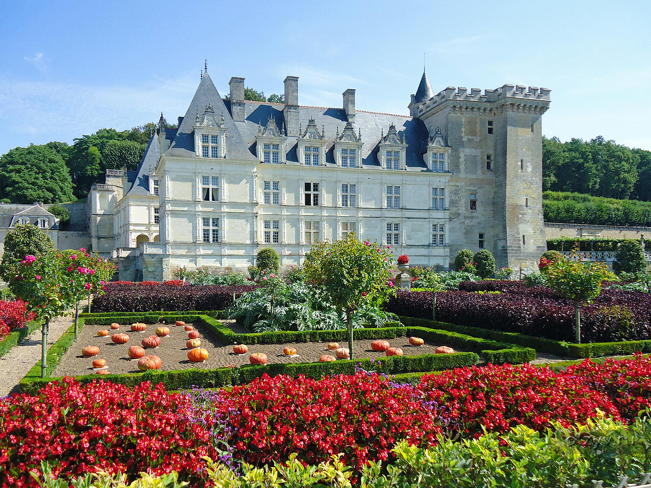 Сады замков. Замок Вилландри. Замки Луары Франция Villandry. Замок Ланже Вилландри. Поместье Вилландри.