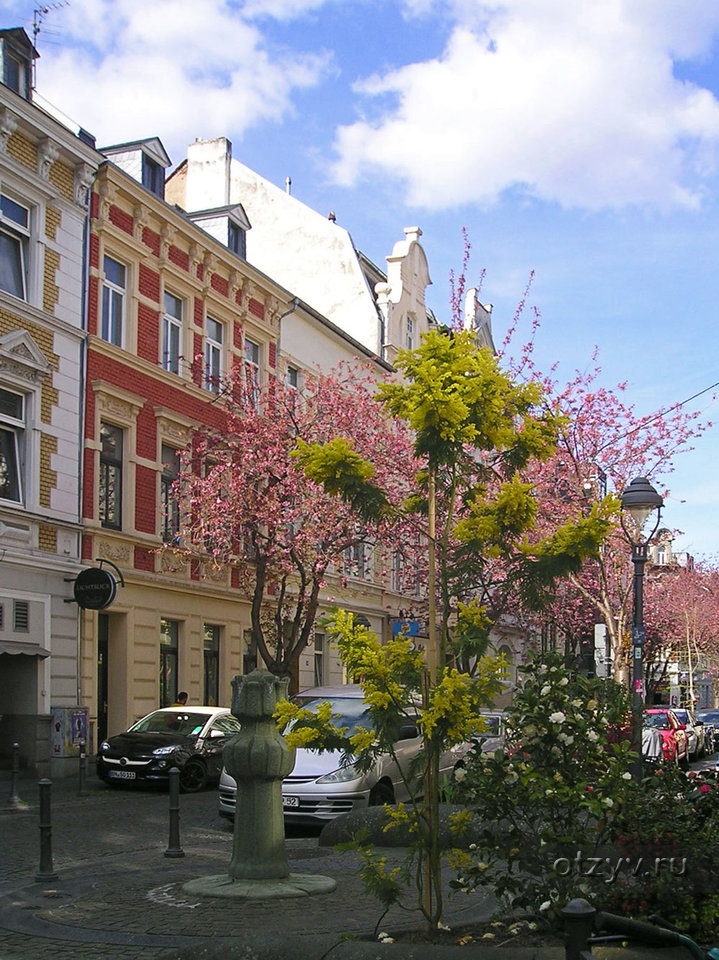 Фото город бонн германия