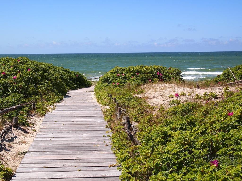 1 евроцент литва. Литва 2015. Литва, elevatoriaus 28, kedainiai, lithuania. 2 евро литва (литовский язык) 2015. Литва 2015.