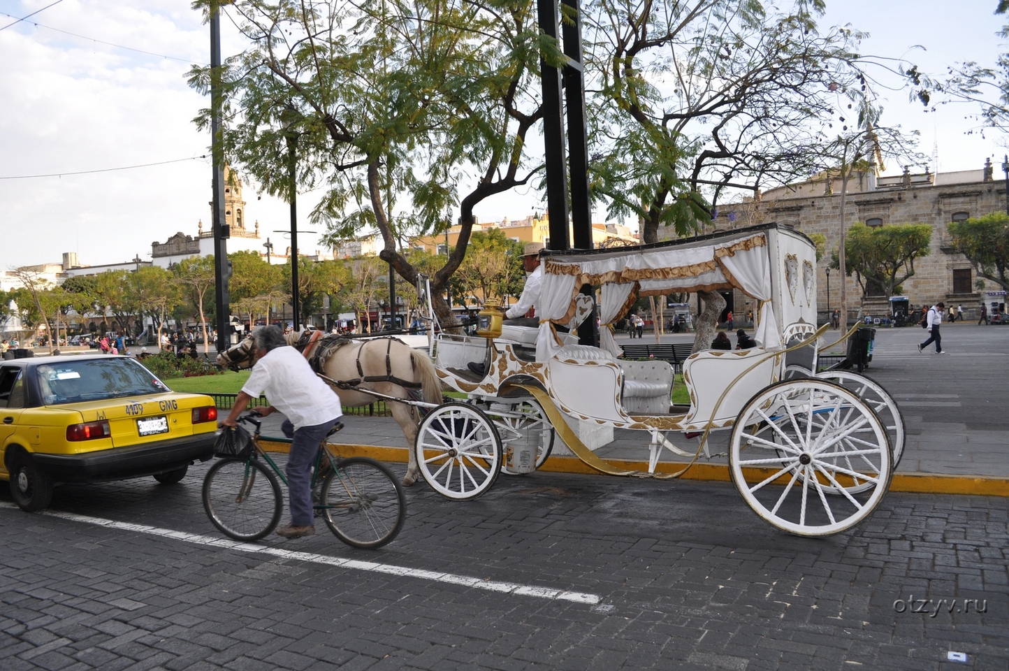 Escorts Guadalajara Jalisco