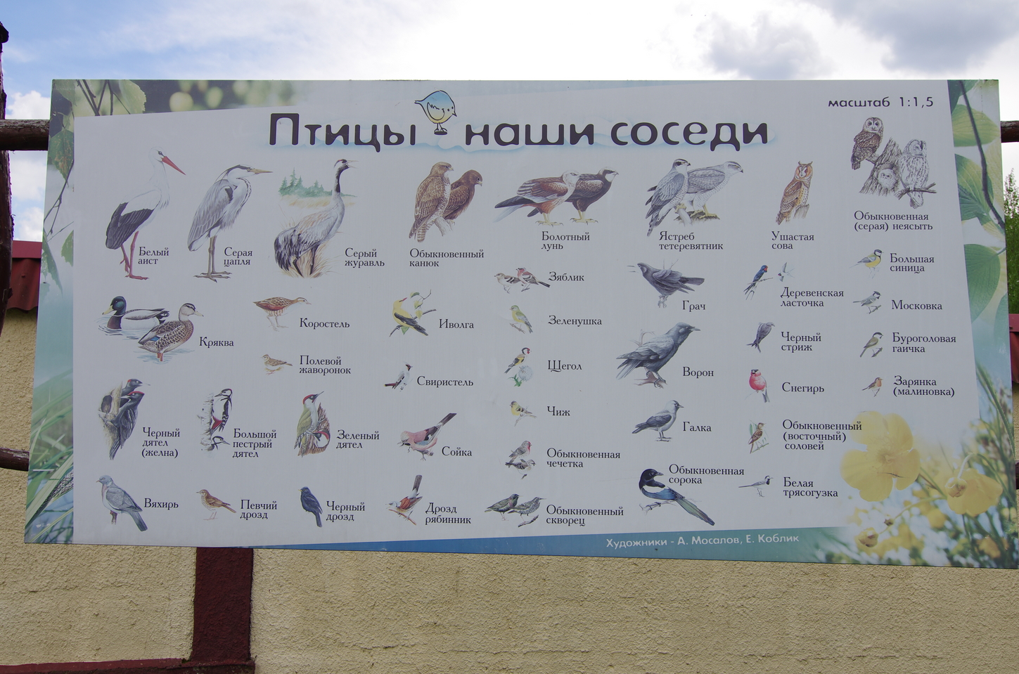 Парк птиц воробьи схема
