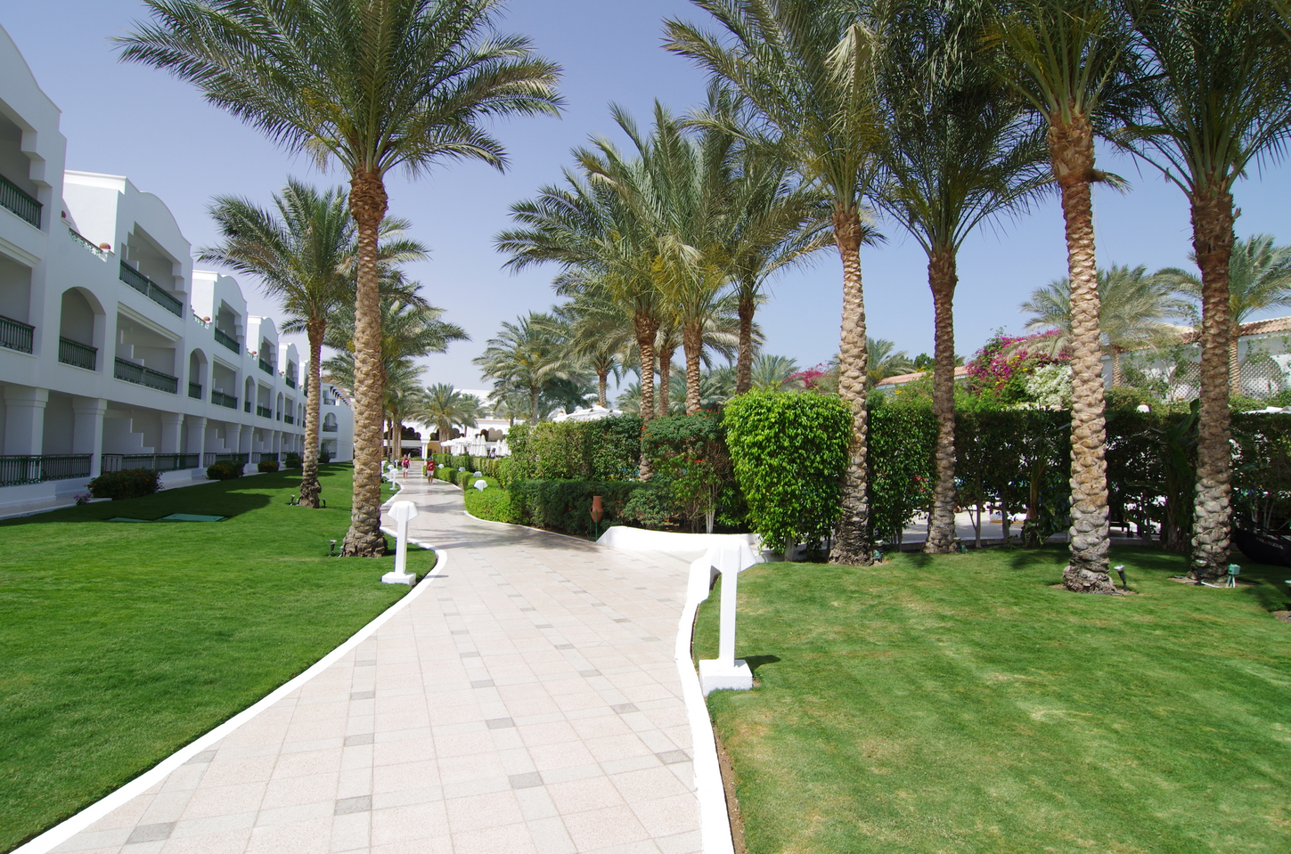 Baron Palms Resort 5
