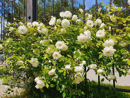 промокод метрополь гранд отель геленджик. Смотреть фото промокод метрополь гранд отель геленджик. Смотреть картинку промокод метрополь гранд отель геленджик. Картинка про промокод метрополь гранд отель геленджик. Фото промокод метрополь гранд отель геленджик промокод метрополь гранд отель геленджик. Смотреть фото промокод метрополь гранд отель геленджик. Смотреть картинку промокод метрополь гранд отель геленджик. Картинка про промокод метрополь гранд отель геленджик. Фото промокод метрополь гранд отель геленджик