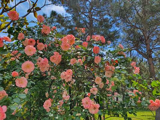 промокод метрополь гранд отель геленджик. Смотреть фото промокод метрополь гранд отель геленджик. Смотреть картинку промокод метрополь гранд отель геленджик. Картинка про промокод метрополь гранд отель геленджик. Фото промокод метрополь гранд отель геленджик промокод метрополь гранд отель геленджик. Смотреть фото промокод метрополь гранд отель геленджик. Смотреть картинку промокод метрополь гранд отель геленджик. Картинка про промокод метрополь гранд отель геленджик. Фото промокод метрополь гранд отель геленджик