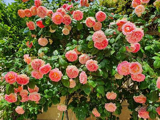 промокод метрополь гранд отель геленджик. Смотреть фото промокод метрополь гранд отель геленджик. Смотреть картинку промокод метрополь гранд отель геленджик. Картинка про промокод метрополь гранд отель геленджик. Фото промокод метрополь гранд отель геленджик промокод метрополь гранд отель геленджик. Смотреть фото промокод метрополь гранд отель геленджик. Смотреть картинку промокод метрополь гранд отель геленджик. Картинка про промокод метрополь гранд отель геленджик. Фото промокод метрополь гранд отель геленджик