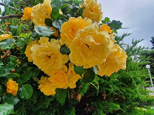 промокод метрополь гранд отель геленджик. Смотреть фото промокод метрополь гранд отель геленджик. Смотреть картинку промокод метрополь гранд отель геленджик. Картинка про промокод метрополь гранд отель геленджик. Фото промокод метрополь гранд отель геленджик промокод метрополь гранд отель геленджик. Смотреть фото промокод метрополь гранд отель геленджик. Смотреть картинку промокод метрополь гранд отель геленджик. Картинка про промокод метрополь гранд отель геленджик. Фото промокод метрополь гранд отель геленджик