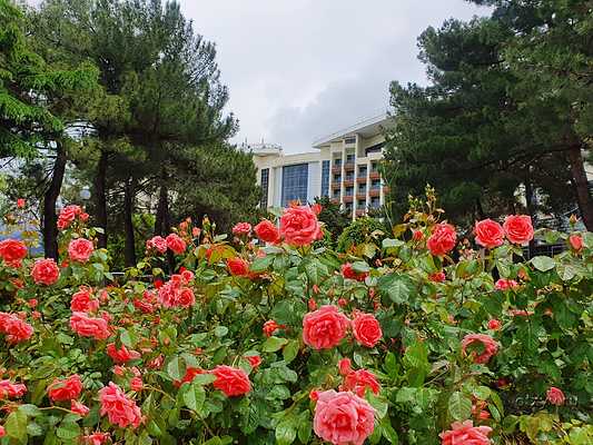 промокод метрополь гранд отель геленджик. Смотреть фото промокод метрополь гранд отель геленджик. Смотреть картинку промокод метрополь гранд отель геленджик. Картинка про промокод метрополь гранд отель геленджик. Фото промокод метрополь гранд отель геленджик промокод метрополь гранд отель геленджик. Смотреть фото промокод метрополь гранд отель геленджик. Смотреть картинку промокод метрополь гранд отель геленджик. Картинка про промокод метрополь гранд отель геленджик. Фото промокод метрополь гранд отель геленджик
