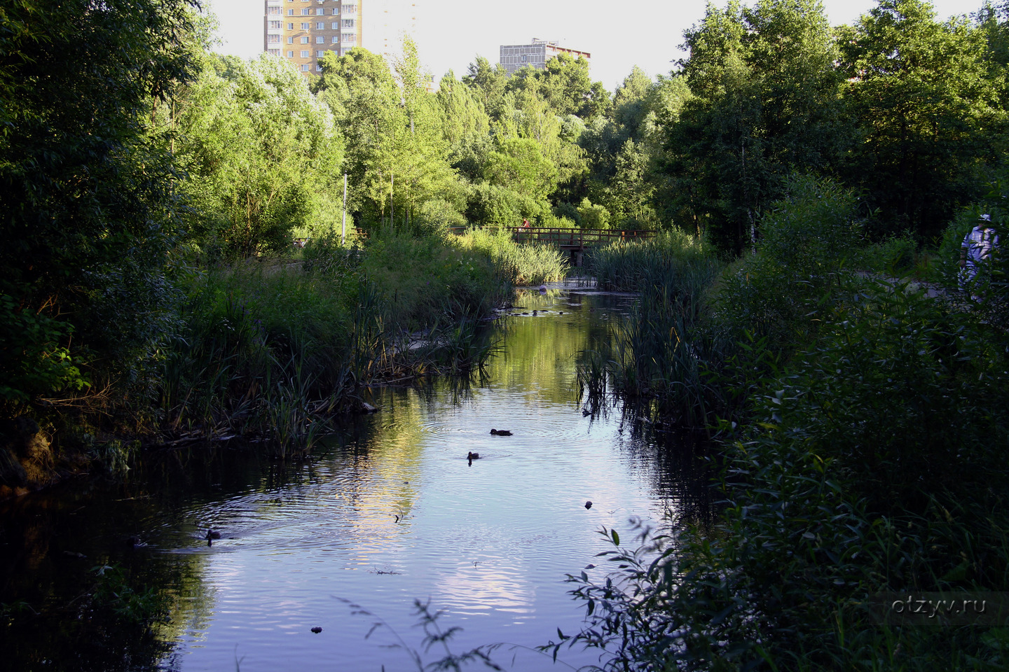 Яуза река парк Свиблово