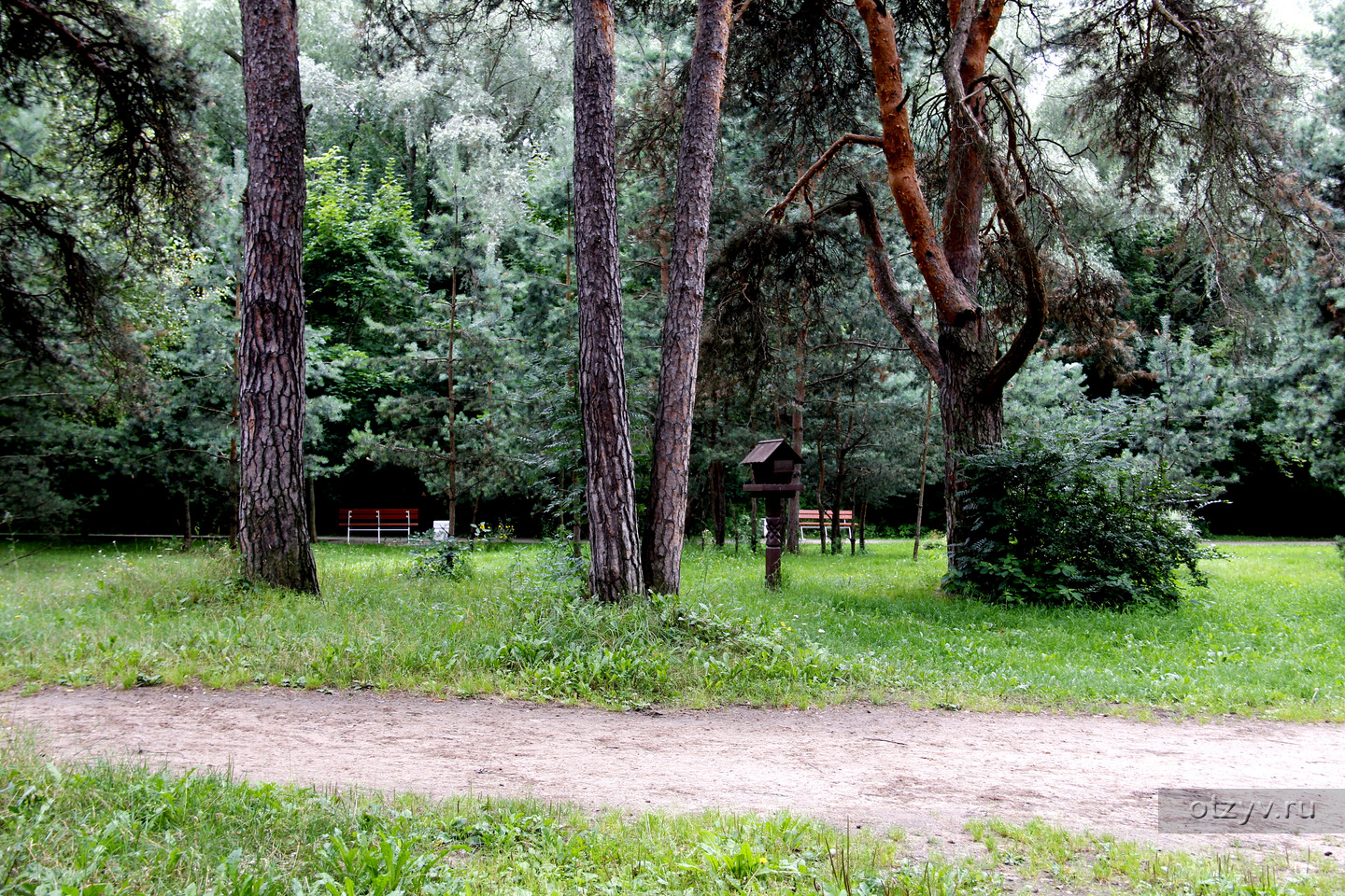 парк серебряный бор москва