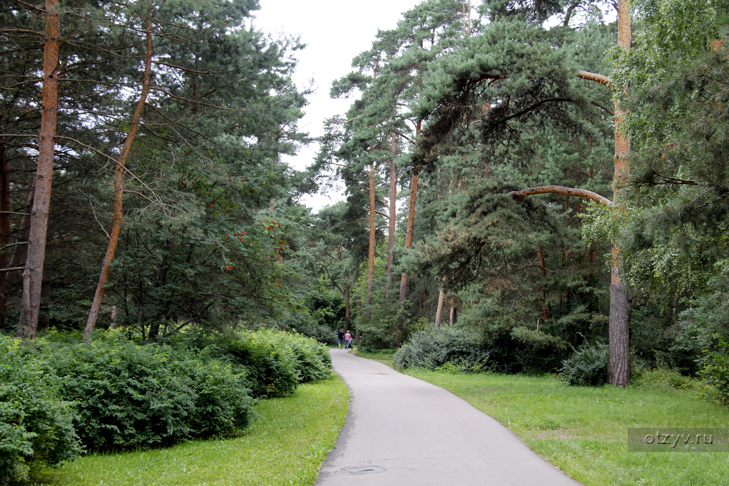 Парк на лесной