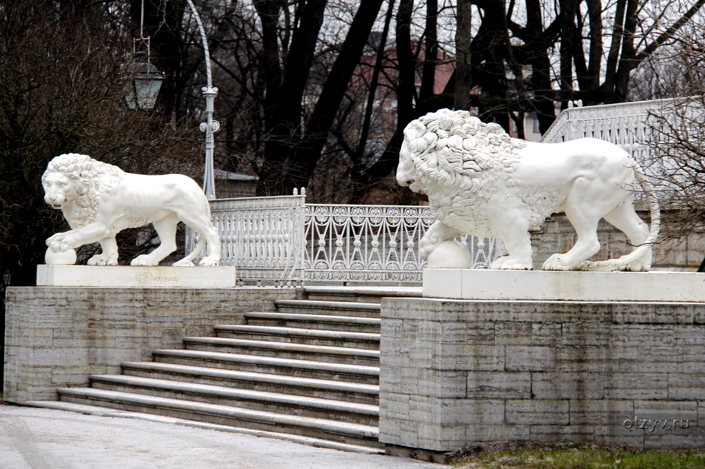 каменные львы санкт петербург