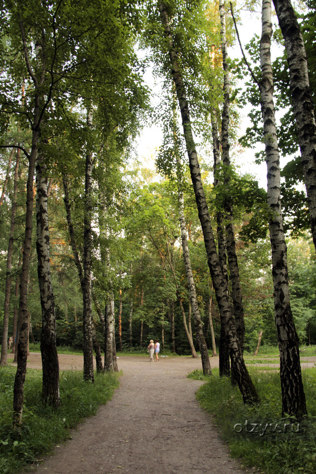 Тимирязевский парк москва