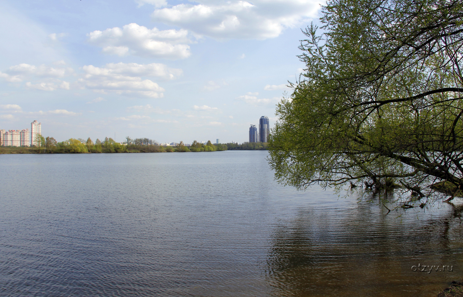 парк в строгино