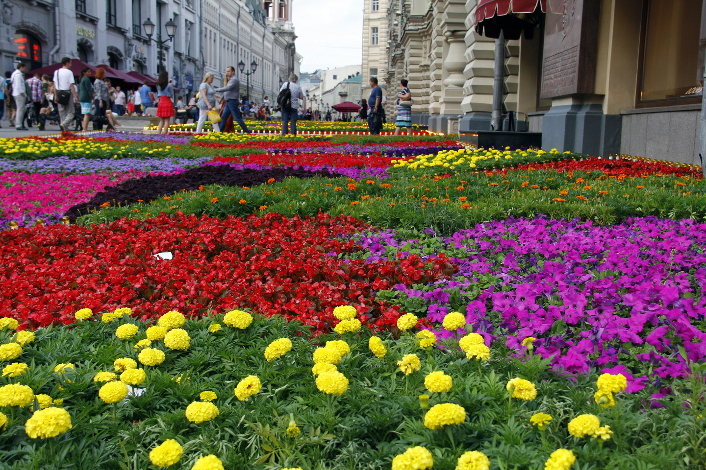 Фестиваль цветов в Москве