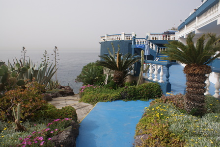 Royal Orchid                                                                           26 07 12