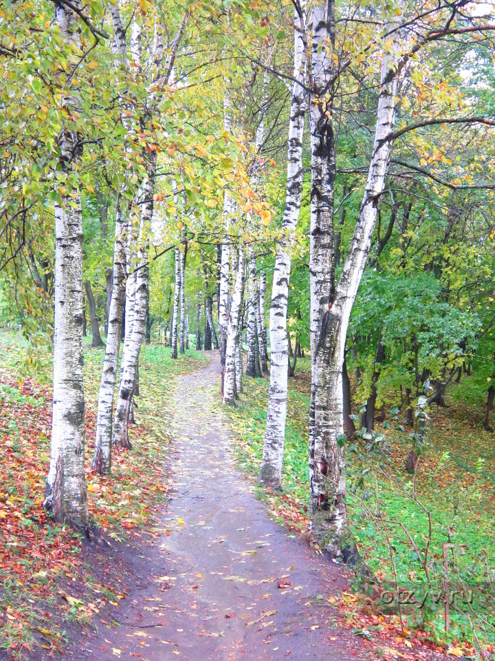 Погода болдино нижегородская область на неделю